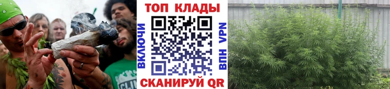 Что такое Грязовец Кокаин  ГАШИШ  Канабис 