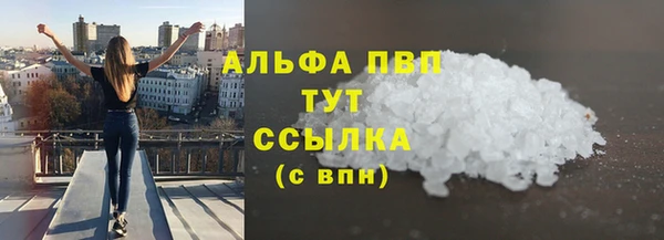 PSILOCYBIN Верея