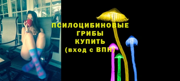 PSILOCYBIN Верея
