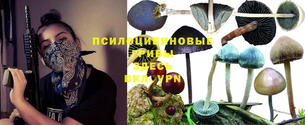 spice Бугульма